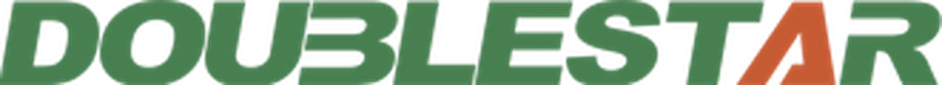 Double Star tyres